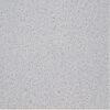 Achim Nexus Salt N Pepper Granite 12-in X 12-in Peel And Stick Vinyl Tile Flooring (20-sq Ft)
