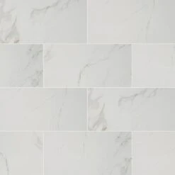 MSI 12 In. X 24 In. Carrara Polished Porcelain Floor And Wall Tile (16 Sq. Ft./case)